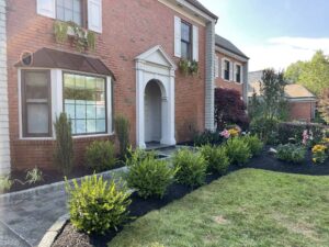 Elegant New York home entrance with manicured landscaping, featuring vibrant flower beds, lush greenery, and masonry walkway, showcasing Soft Wind Landscape & Masonry's design expertise.