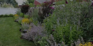 Lush garden landscape featuring vibrant flowers and greenery, showcasing Soft Wind Landscape & Masonry's design expertise for outdoor transformations in New York.