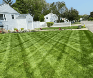 Lush green lawn with striped mowing patterns, showcasing a well-maintained outdoor space, ideal for landscape design inspiration by Soft Wind Landscape & Masonry.