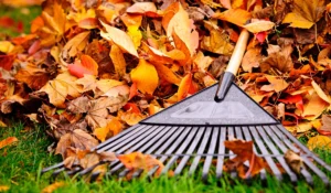Rake resting on green grass in front of a pile of vibrant autumn leaves, symbolizing seasonal landscape maintenance and outdoor transformation services by Soft Wind Landscape & Masonry.