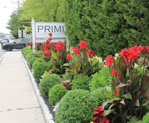 Vibrant red flowers and lush greenery in a well-maintained landscape design, showcasing masonry elements, outside a business sign reading "PRIME," reflecting the expertise of Soft Wind Landscape & Masonry in outdoor transformations.