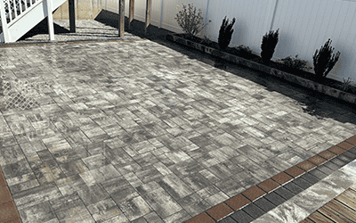 Best Plants to Border Your Patio in New York