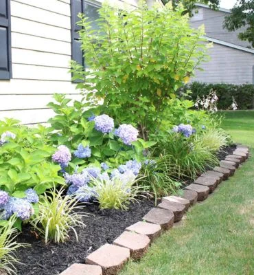 Garden Design Services