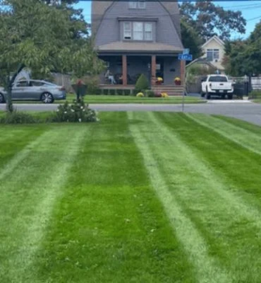 Lawn Fertilizer